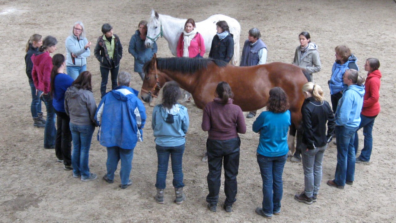 In unserer Ausbildung lernt man von den Menschen ebenso wie von den Pferden.